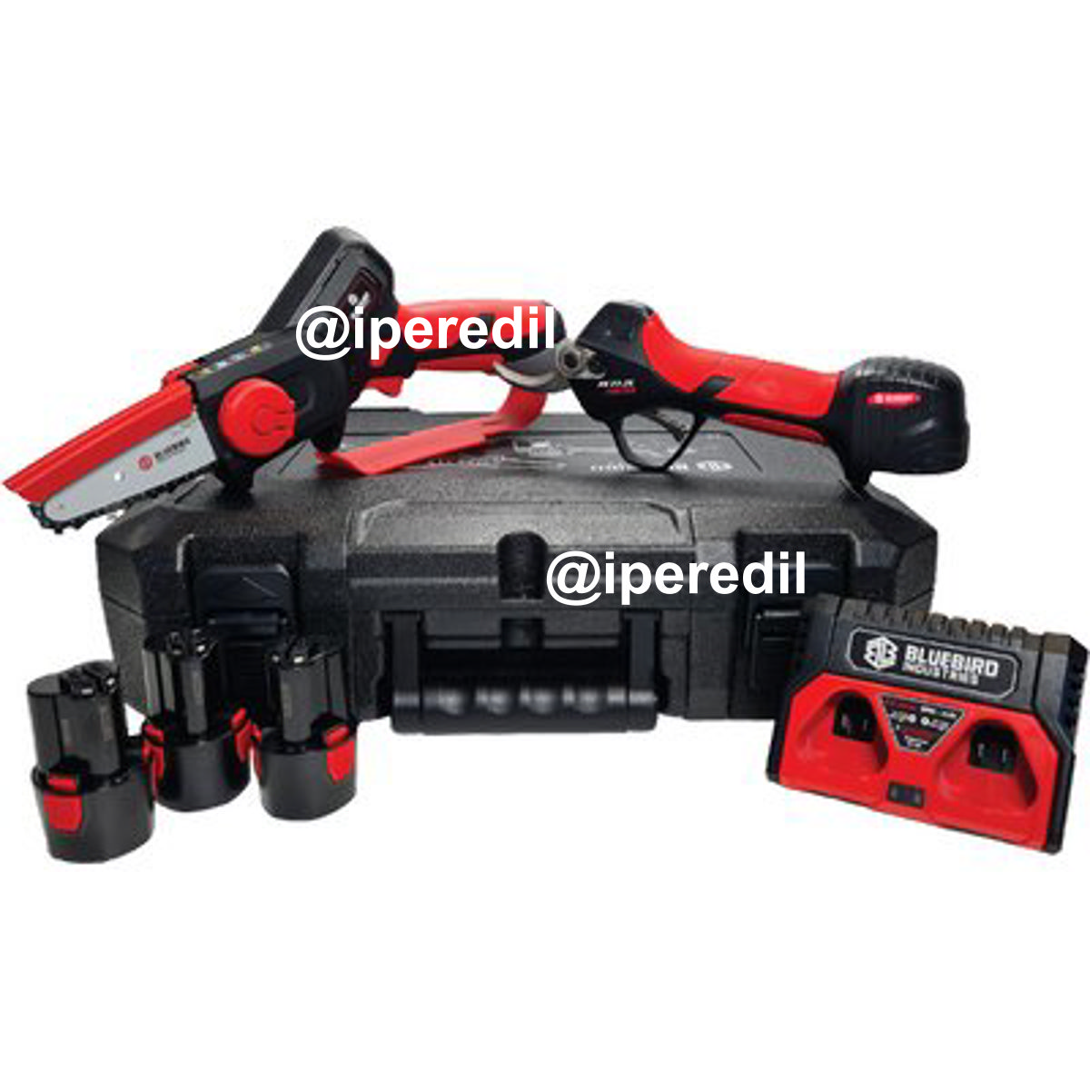 KIT FORBICE PS23-25 + MINI SEGA CS22-04 BLUEBIRD VOLT 12,6X3 AH 2,0 + VALIGETTA