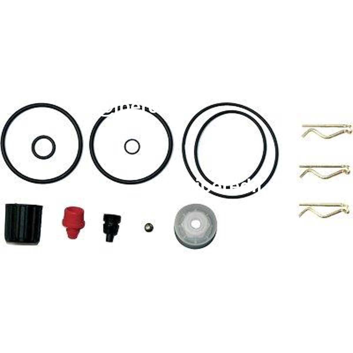 KIT RICAMBI POMPA ROSY 3507C GDM