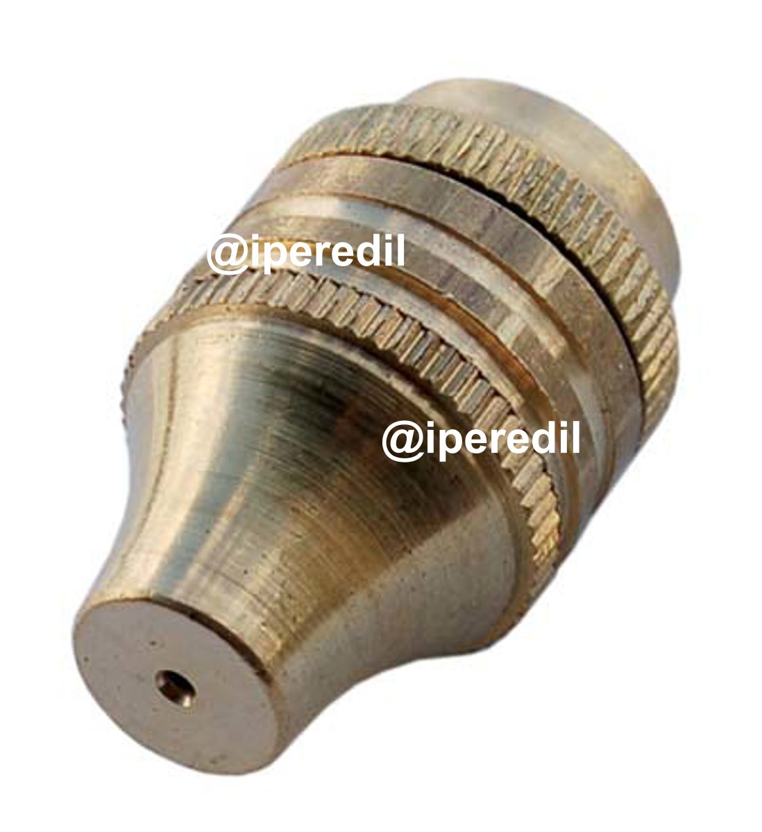 GETTO MERIDIONALE A ROSA X LANCIA OTTONE 1/2-3/8F