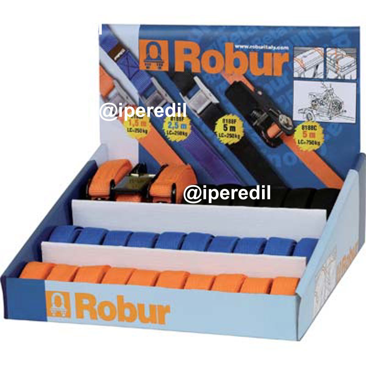 CINGHIA AD ANELLO EXPO 8188E/29 ROBUR CF=PZ 29