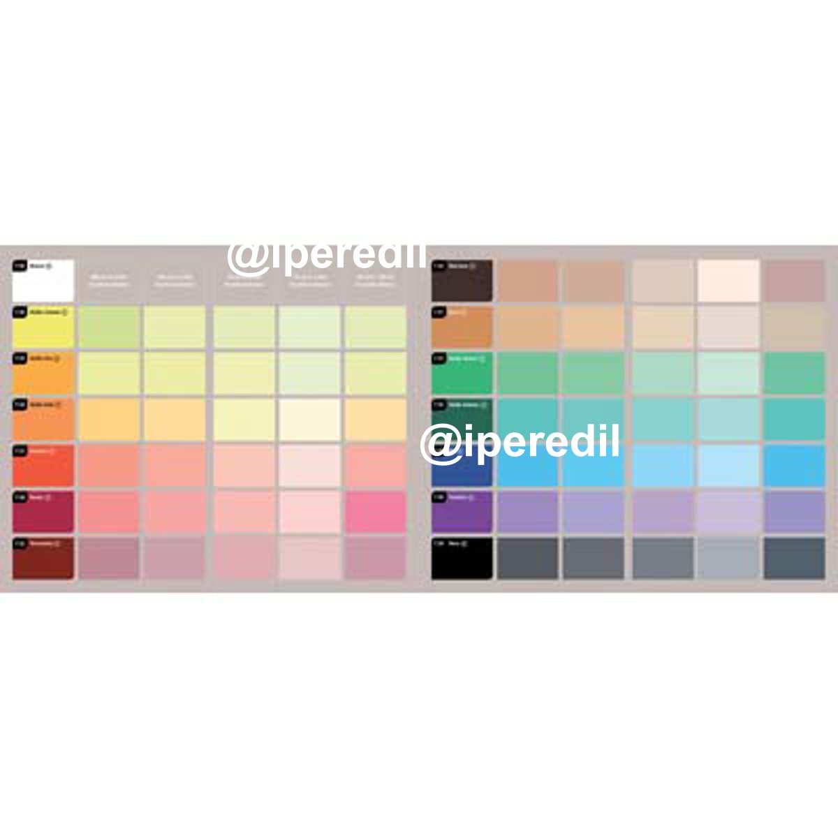CARTELLA COLORANTI TINGOTUTTO