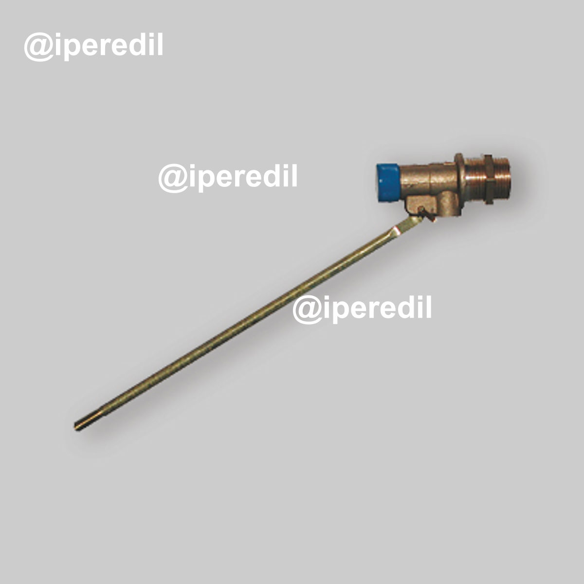 GALLEGGIANTE INGLESE 1"