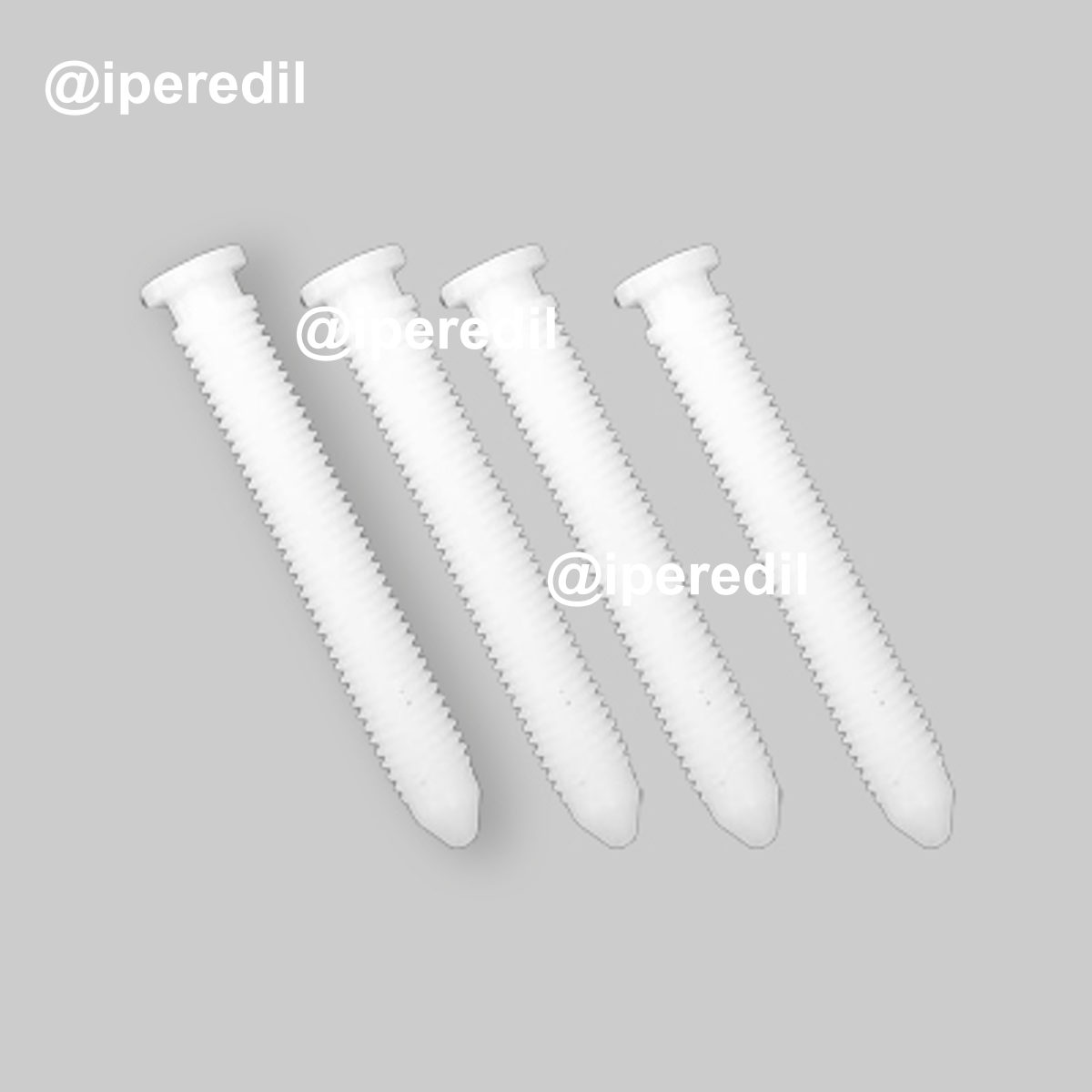 VITE DI FISSAGGIO E REGISTRO PER PLACCA "SARA" E "ECO" 4 Pz.