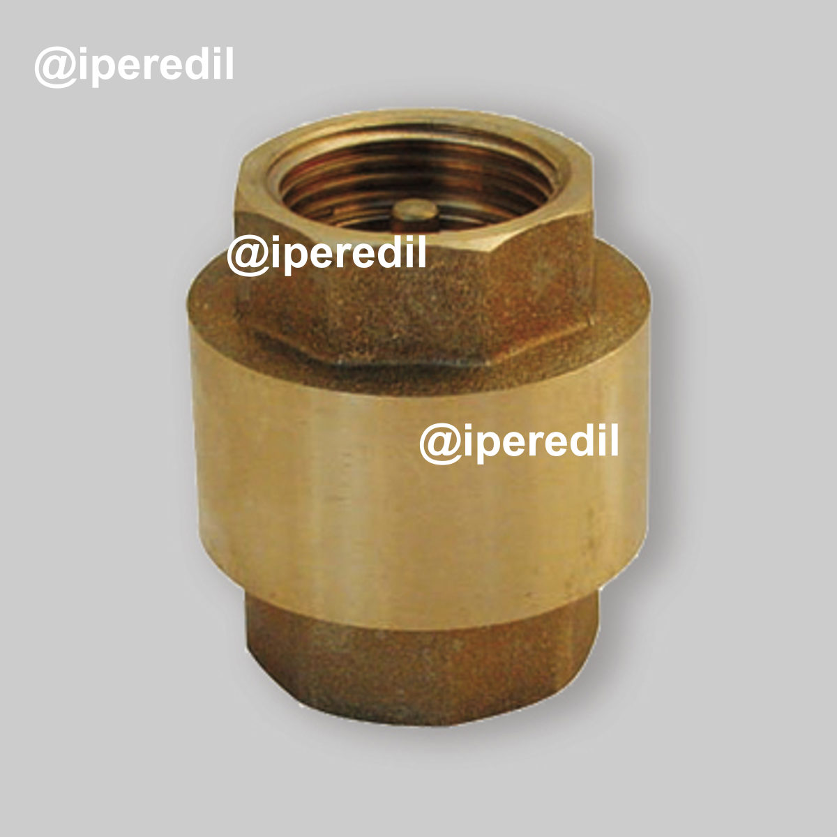 VALVOLA DI RITEGNO A MOLLA F/F CON OTTURATORE IN POLIAMMINIDE 2" DN50 - PN10