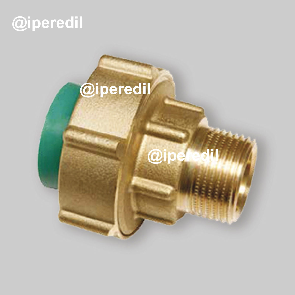 GIUNTO CON GHIERA FILETTATA MASCHIO PN 25 IN PPR Ø25 x 3/4"M