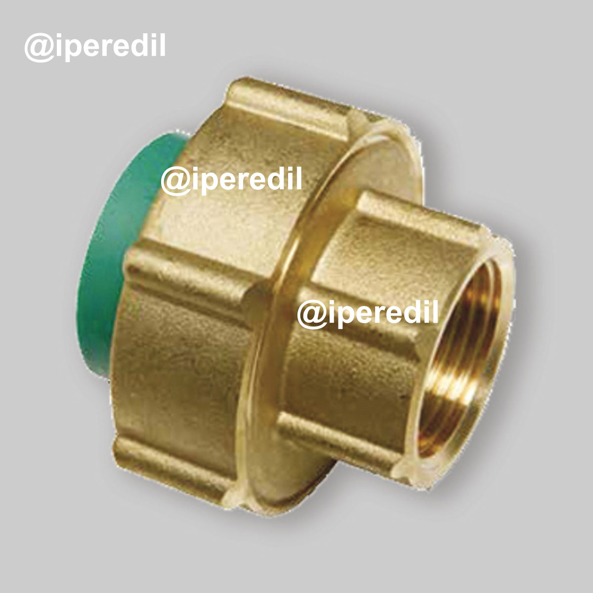 GIUNTO CON GHIERA FILETTATA FEMMINA PN 25 IN PPR Ø32 x 1"F