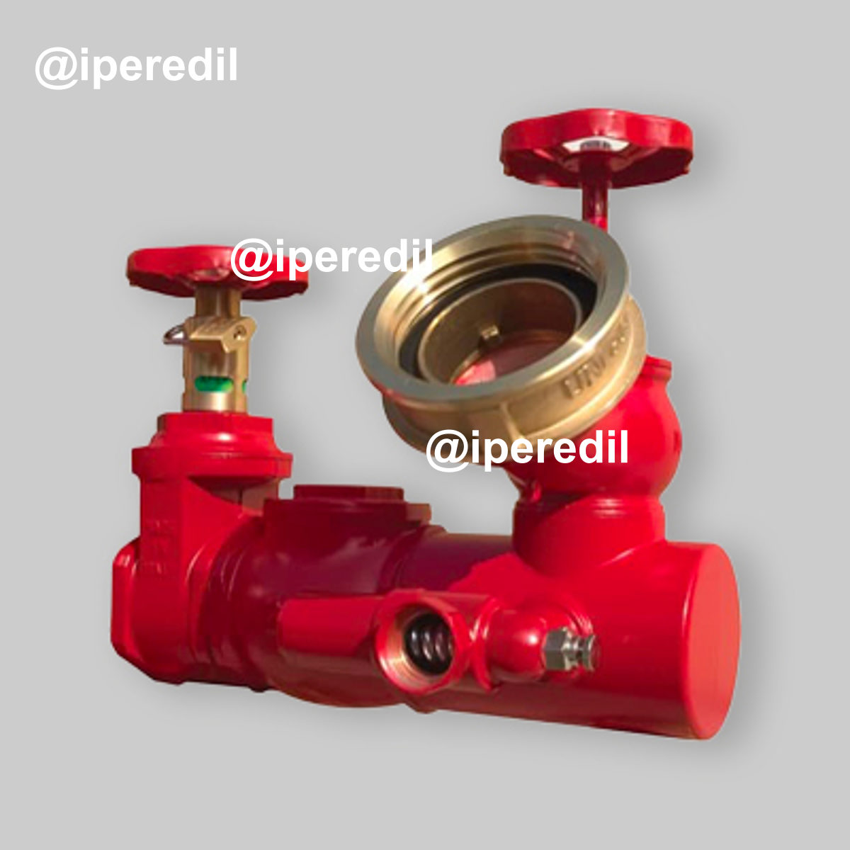 GRUPPO ATTACCO MONOPOMPA IN LINEA PN 12 2" x 1 UNI 80 in linea