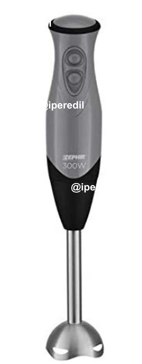 ZEPHIR FRULLATORE AD IMMERSIONEIN ACCIAIO 2 VELOCITA' 300W ZHC84